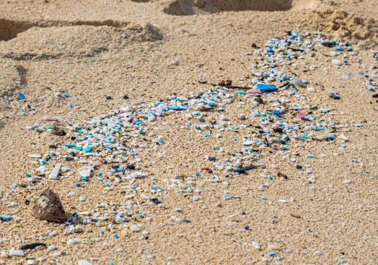 The Ultimate Guide to Our Plastic Problem in the Ocean